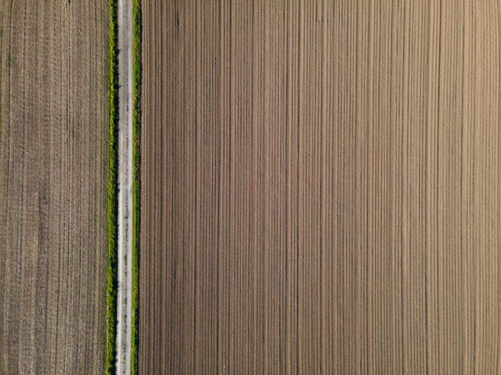 Photo yield farming