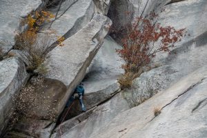 Photo scaling