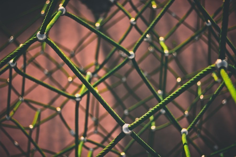 Photo networks