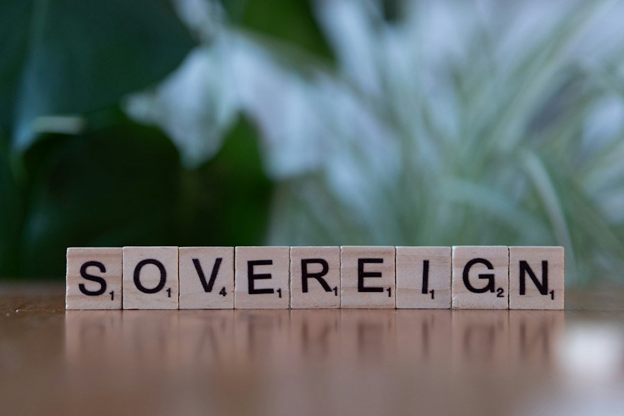 Photo governance mechanisms