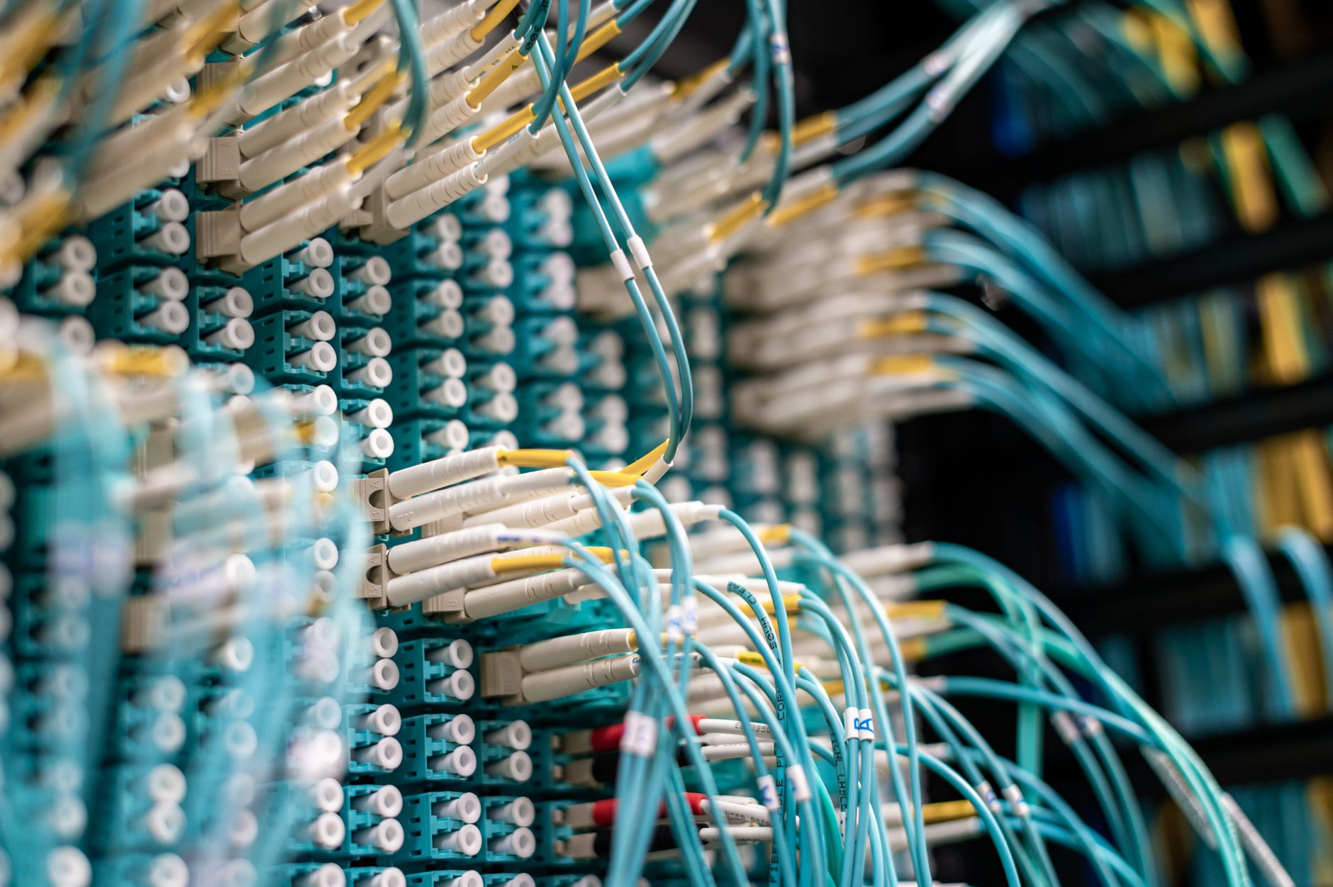 Cabluri de rețea conectate la servere într-un centru de date, simbol al fluxului de informații