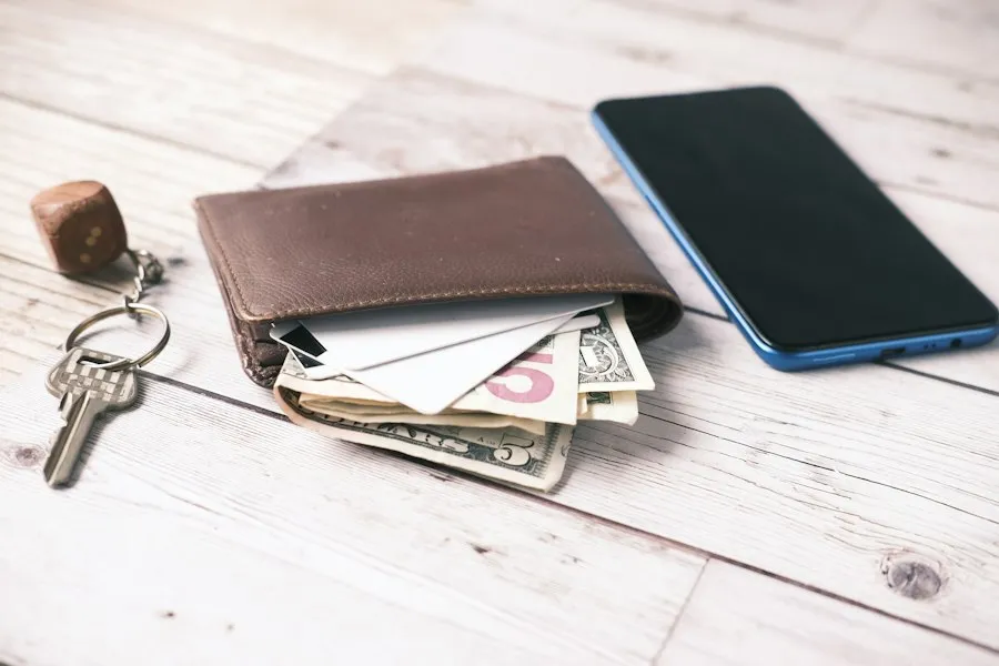 hardware vs software wallets mistakes